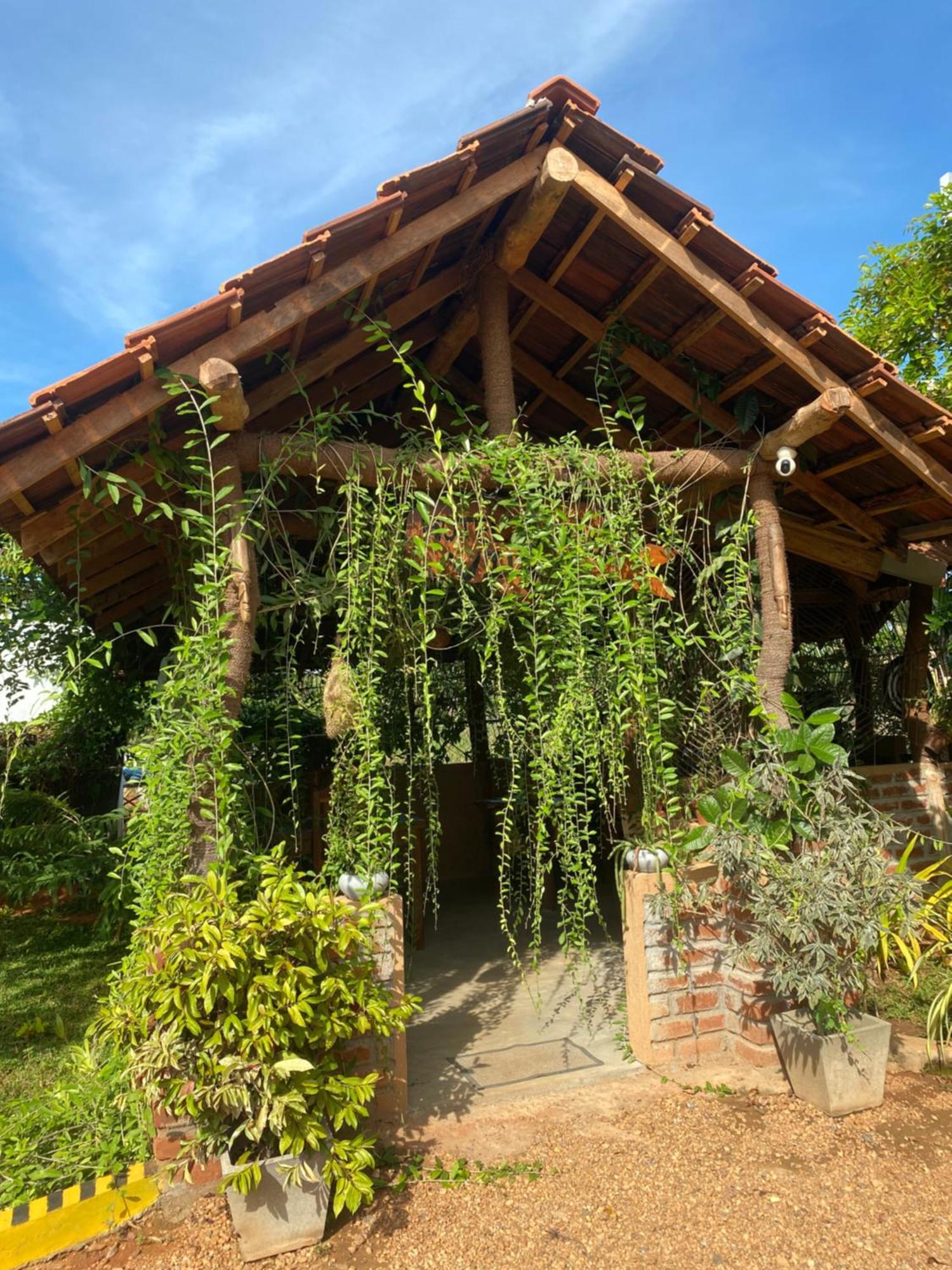 Hotel Hanguk Villa Dambulla Eksteriør billede