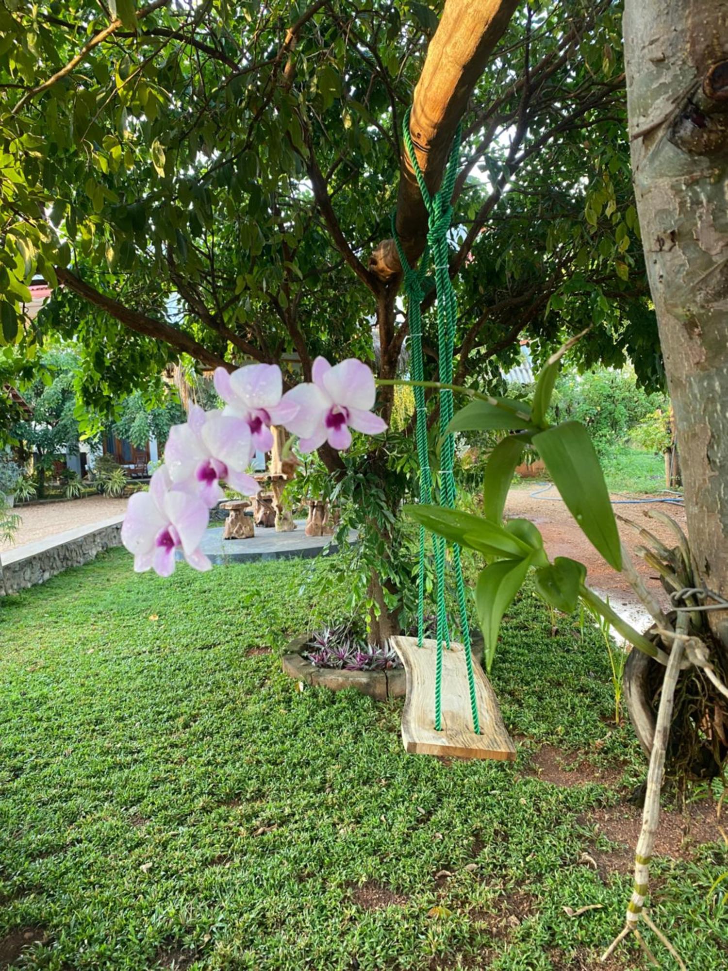 Hotel Hanguk Villa Dambulla Eksteriør billede